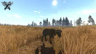 《真封神》职业格局重塑：我的肺腑之言，哪个才是版本答案？